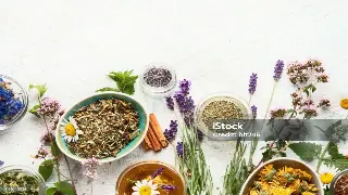 成都桑拿按摩行业巨擘访谈：探索身心健康之道 封面