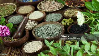 成都桑拿新手不踩坑：洗浴中心老炮儿教你如何优雅享受