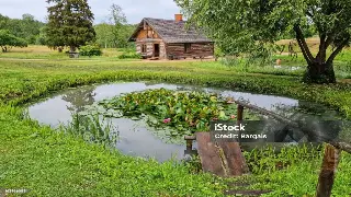 巴适得板！揭秘成都按摩的前世今生：从千年古法到现代养生新潮流