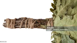 按摩大师李叔：从街头巷尾到养生殿堂的独家秘笈！